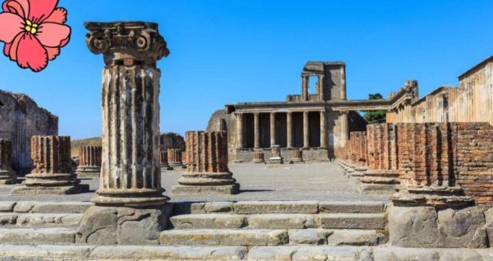 Bed and Breakfast Pompei House Скафати Экстерьер фото